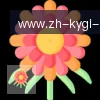 开云app logo