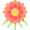 开云app logo