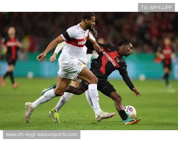 德甲核心强队与战绩亮眼球队盘点