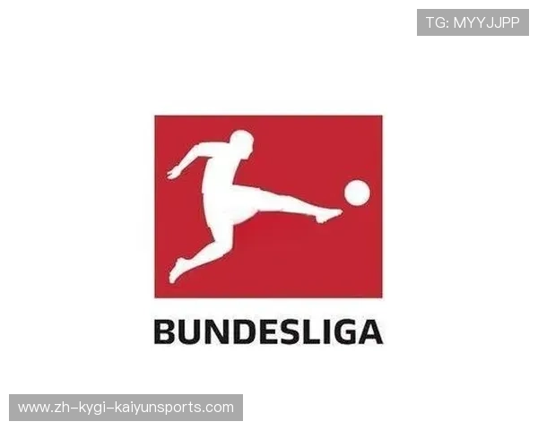 德甲球队财政收入数据分析与年度财报公开情况